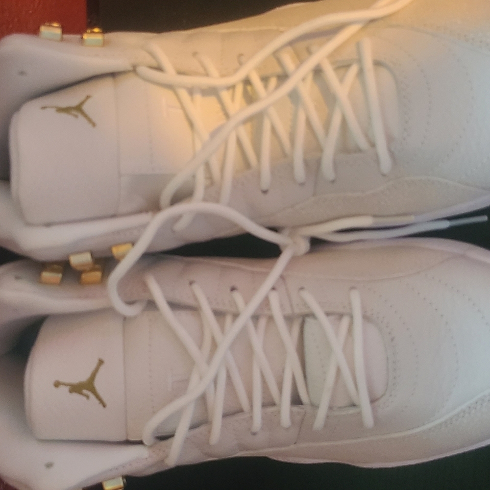 Jordan retro 12 OVO sz10